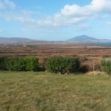 clew bay oil prices clew bay oil prices